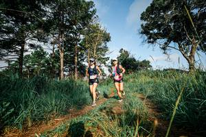 BIB: 
                            <button type="button" onclick="openModal(26003592)" class="btn btn-primary btn-sm float-right btn-popup" data-toggle="modal" data-target=".modal-high-quality">
                        <i class="fas fa-shopping-cart"></i> Add to Cart
                    </button>
                                            <button type="button" onclick="isThisMe(26003592, true)" class="btn btn-success btn-sm float-right btn-popup btn-isme hidden" data-toggle="tooltip" data-placement="bottom" title="นี่คือรูปของคุณใช่ไหม คลิกที่นี่เพื่อเอาเข้าอัลบั้ม">
                        <i class="fas fa-plus"></i> Add to album
                    </button>
                    <button type="button" onclick="isThisMe(26003592, false)" class="btn btn-warning btn-sm float-right btn-popup btn-isnotme hidden">
                        <i class="fas fa-ban"></i> Remove from album
                    </button>